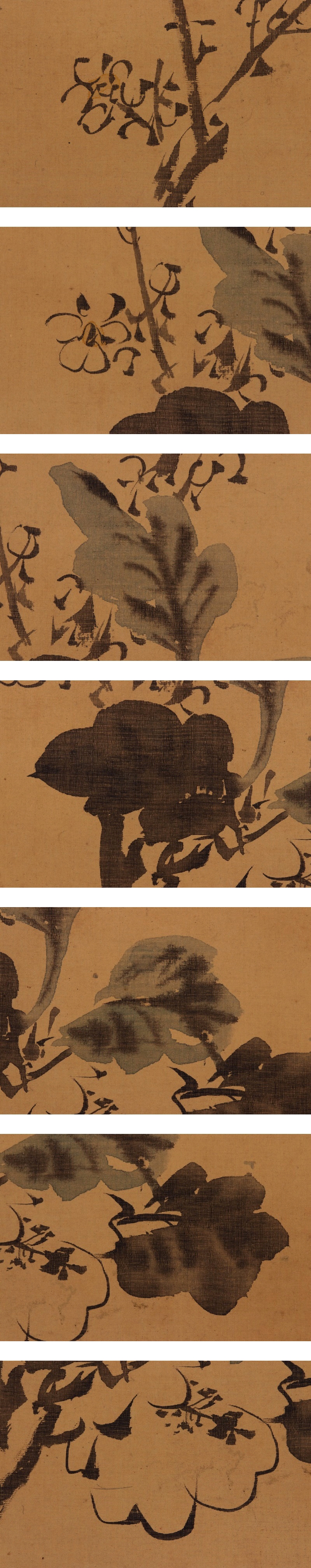 日本製在庫谷文晁◆絹本◆合箱◆掛軸 v11042 花鳥、鳥獣